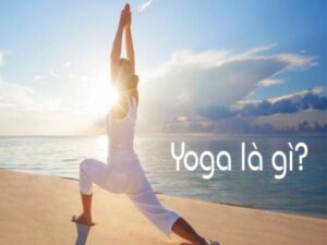 Yoga là gì? Những kiến thức cơ bản cần biết về yoga