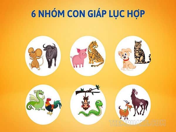 Phương pháp tính tuổi Lục Hợp ở trong 12 con giáp