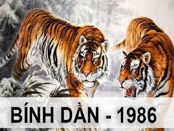 Đôi nét về tuổi Bính Dần 1986